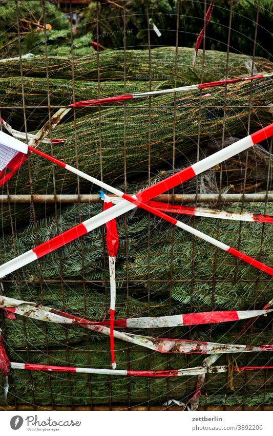 Christmas tree sales christmas tree sales booth Advent advent season christmas time Preparation Tradition Poster pre-Christmas period Markets Fence Street Town