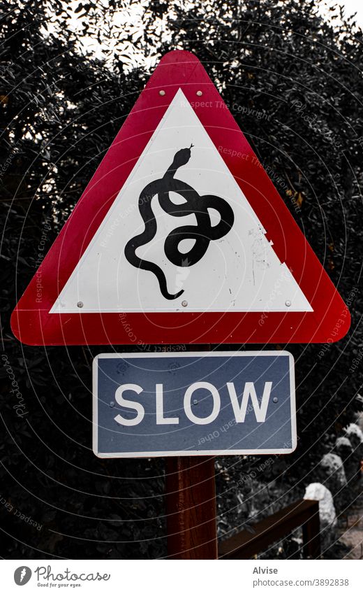 non-generic admonition in the street snake sign symbol wildlife animal icon design nature isolated background art cobra white serpent danger reptile drawing