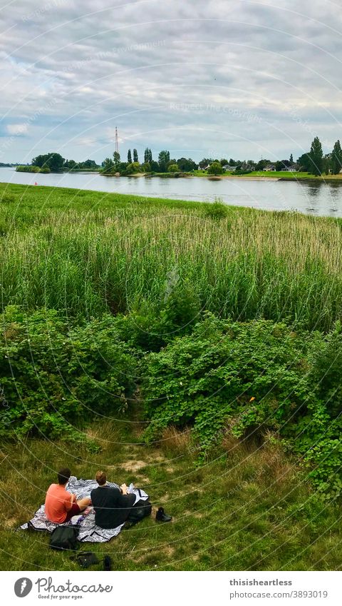 *green grass Picnic Picnic basket picnic blanket in the country Green Green space greenish bank Shore line Elbe Elbufer Nature naturally Nature reserve