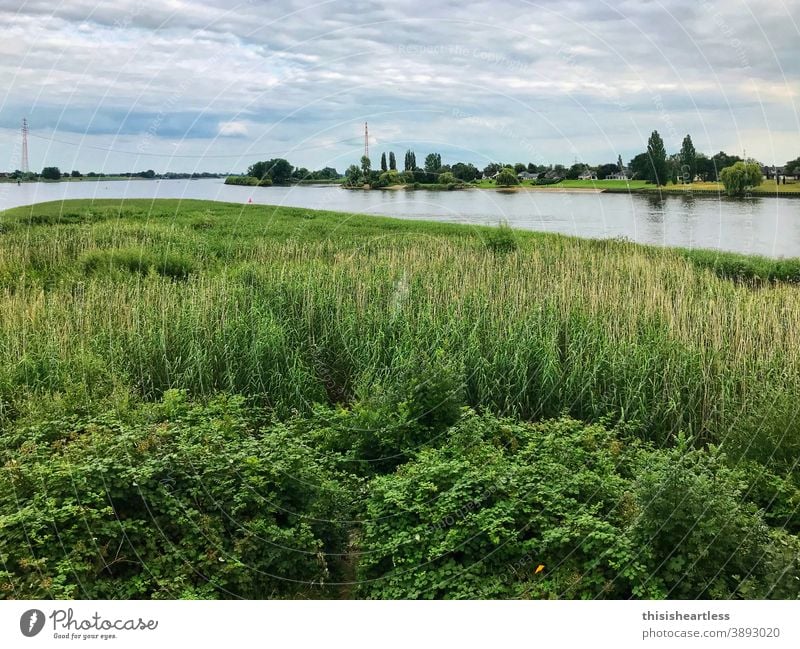 *grass green Elbe side canal Elbe Cycle Route Waterway Fork bank Shore line Bank reinforcement Grass Green Nature Nature reserve Love of nature