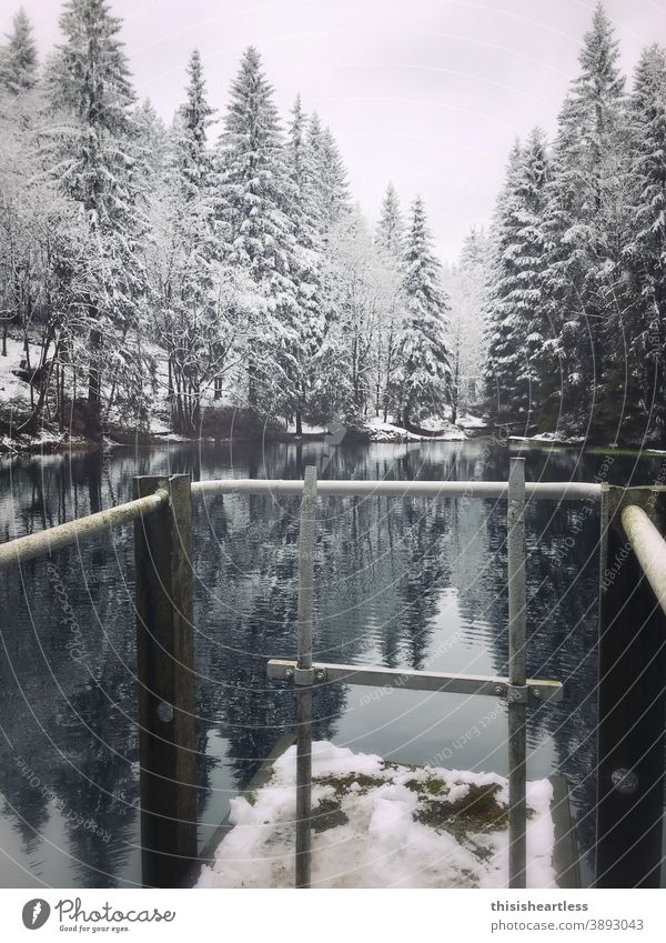 Too cold for a bath? Bathing place bathing platform bathing place Lake Pond Shore of a pond Forest Forest lake Clearing Edge of the forest Water Footbridge