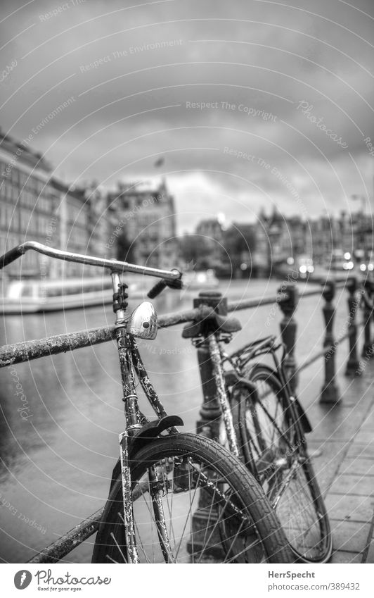 Amsterdam Cliché again Clouds Bad weather Netherlands Port City Old town House (Residential Structure) Building Bicycle Inland navigation Passenger ship