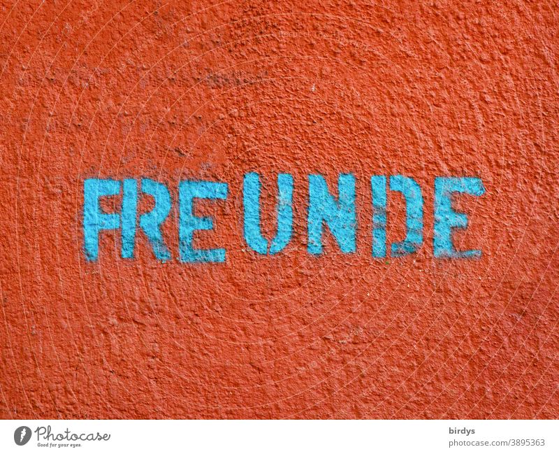 Friends. turquoise blue writing on red background. Grafitti , Graffiti on neutral background boyfriend Friendship relation Characters Red