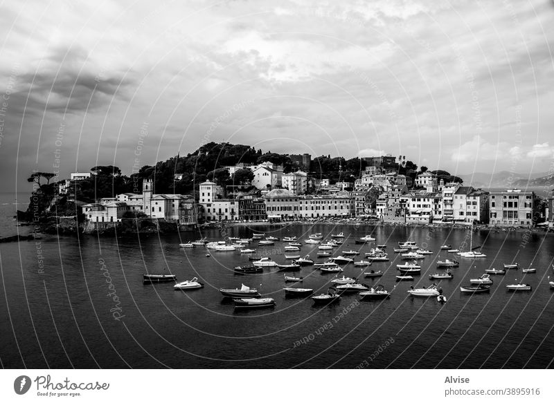 portrait of Sestri Levante bay silence travel sea calm nature one coast shore view beach tourist water vacation leisure relax black people lifestyle outdoor