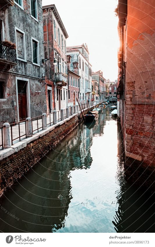 Venice side streets at sunrise Looking Central perspective Deep depth of field Dawn Morning Light Shadow Contrast Copy Space middle Copy Space bottom