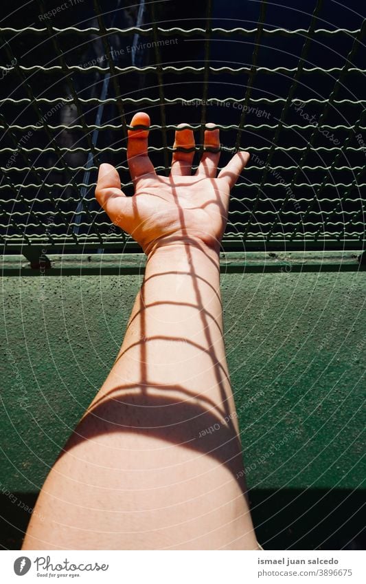 man hand grabbing metallic fence wire security protection human fingers body part person arm Skin Fingers Human being Exterior shot Shadow Palm of the hand