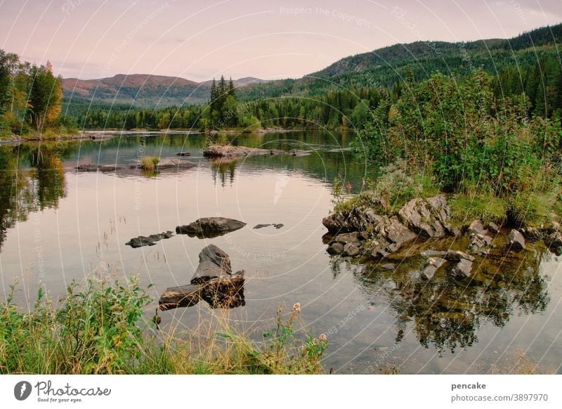 allein, aber nicht einsam Norwegen Landschaft Natur Fjord Felsen Reisen Licht Wasser menschenleer Erholung Urlaub Skandinavien