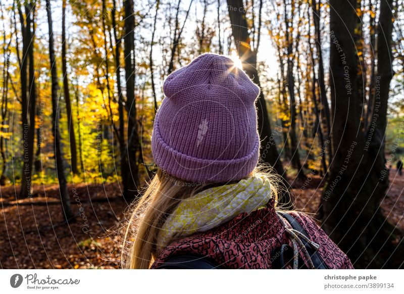 Woman with cap walking in the autumnal forest Cap Forest To go for a walk Autumn Back-light Sunlight Cold Exterior shot Rear view Human being Tree Adults