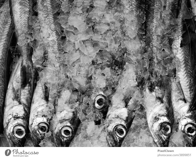 Fish for human consumption Animal Water food, seasoning, cooking, tuber, close-up, vegetables Food Healthy Eating Cooking Nutrition seafood