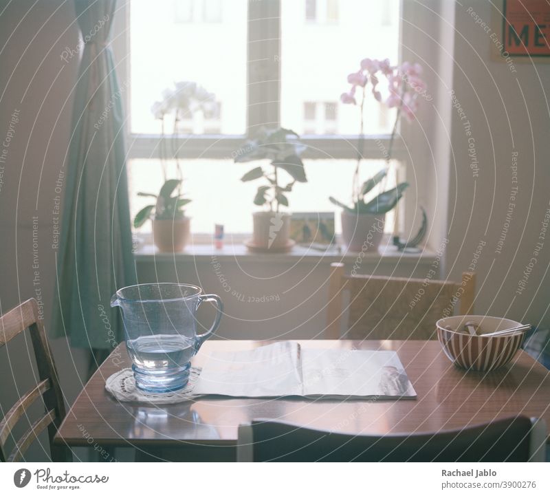 Pitcher of water in front of window with orchids pitcher blue morning light calmness color photograph sunny sunlight plants bowl kitchen breakfast