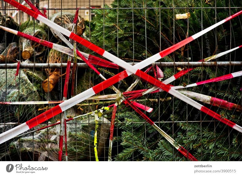 Christmas tree behind flutterband Tree Coniferous trees christmas building Advent christmas time Net Packaging tied Packaged Transport tethered Belt