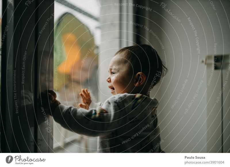 Toddler crying at window toddlerhood Child childhood at home Quarantine Caucasian stay at home Lifestyle Family & Relations coronavirus Light Contrast Home