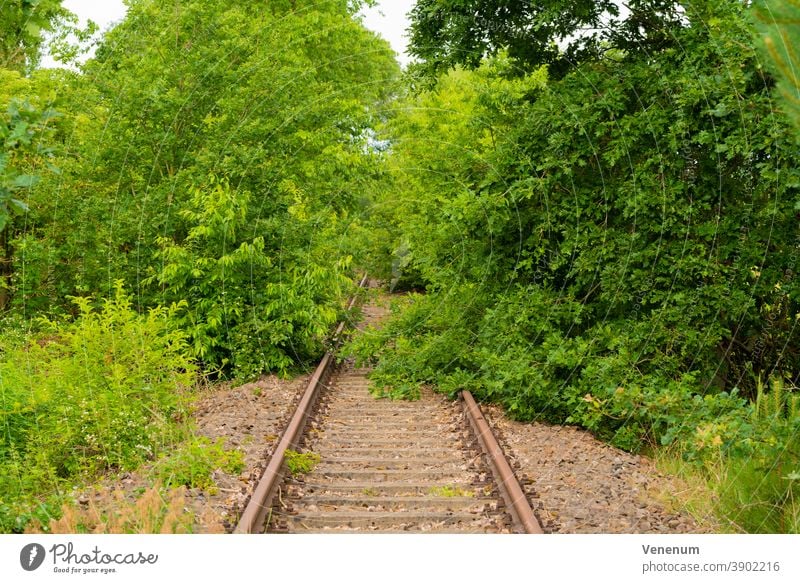 Old railway line in Germany Track Track bed rails Railroad Railway sleepers Forest forests Tree trees
