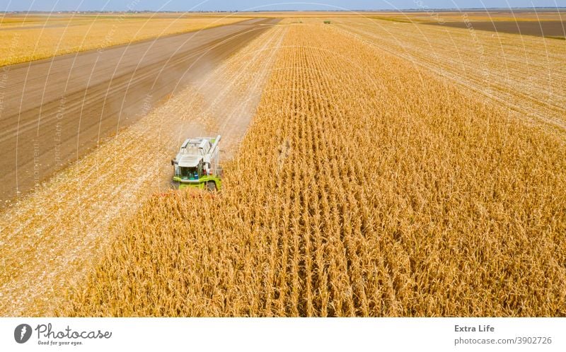 Above view on combine, harvester machine, harvest ripe maize Agricultural Agriculture Agronomy Cereal Combine Corn Cornfield Country Crop Cultivated Cultivation