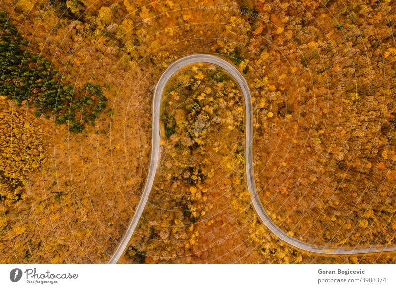Aerial view of autumn forest road aerial outdoor beautiful nature landscape trees natural travel green drone above fall foliage flight rural colorful scene
