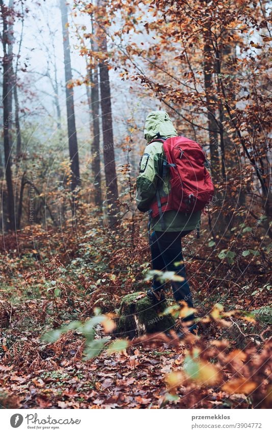 Woman with backpack wandering around a forest on autumn cold day active activity adventure backpacker destination enjoy exploration explore fall female green