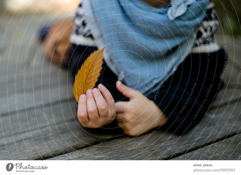 Child with leaf in autumn Autumn Autumn leaves hands small hands Lie out Infancy Sense of Autumn Hand children's hands Nature amass Exterior shot