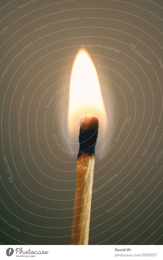 burning match Match Flame Fire Hot Ignite Burn Illuminate Christmas & Advent Kindle Warmth