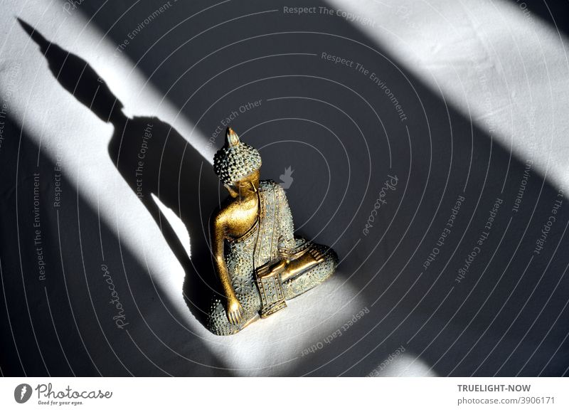 Seen from above, Little Buddha also makes a good impression in the play of sunlight and shadow Sculpture Gold Bronze Turquoise Sunlight Illuminate shine Shadow