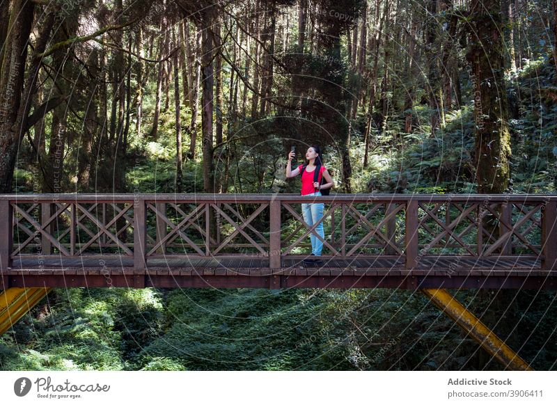 Woman standing on wooden bridge in forest traveler woods woman tourist nature take photo smartphone female alishan township taiwan summer holiday journey