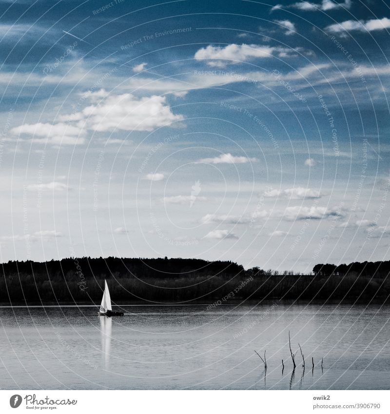 Into the distance Boating trip Sailboat Blue Happy coast Colour photo Sunlight Landscape Water Air Sky Clouds Nature Environment Wind Beautiful weather Movement
