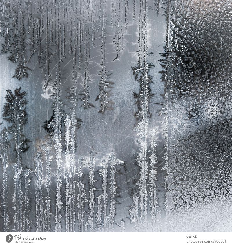 ice surface Pane Frost Authentic Glass Winter Ice crystal Structures and shapes Close-up Day Cold Interior shot Bizarre Deserted Pattern Freeze Colour photo