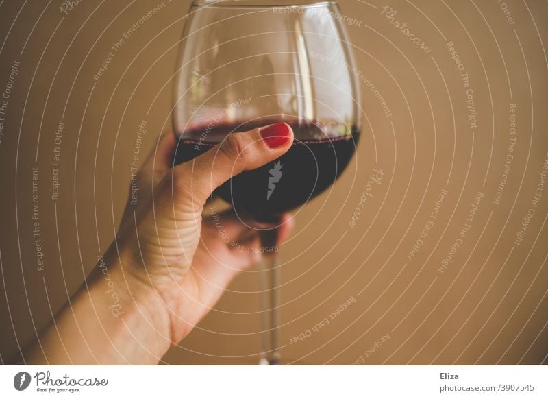 Female hand holding a glass of red wine Red wine Glass Alcoholic drinks Vine Hand Cheers Drinking Wine glass Alcohol consumption Woman Neutral Background