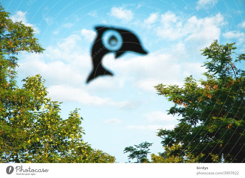 a dolphin jumps through the clouds. Dolphin as a decoration on a window Window Sky Clouds trees Decoration allegorical Fantasy kind Freedom symbol picture