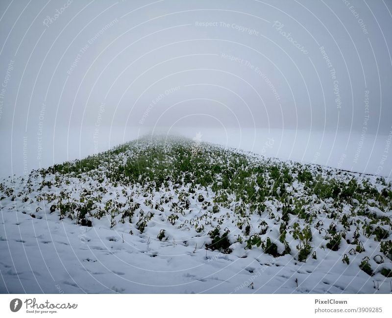 onset of winter Winter Cold Snow Frozen Hoar frost White Nature Meadow Freeze Grass Sky, Grey, December, Cloudy