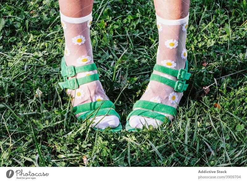 Crop woman in funny transparent socks and sandals style trendy footwear flower print chamomile female green lawn summer sunny meadow grass nature fashion outfit