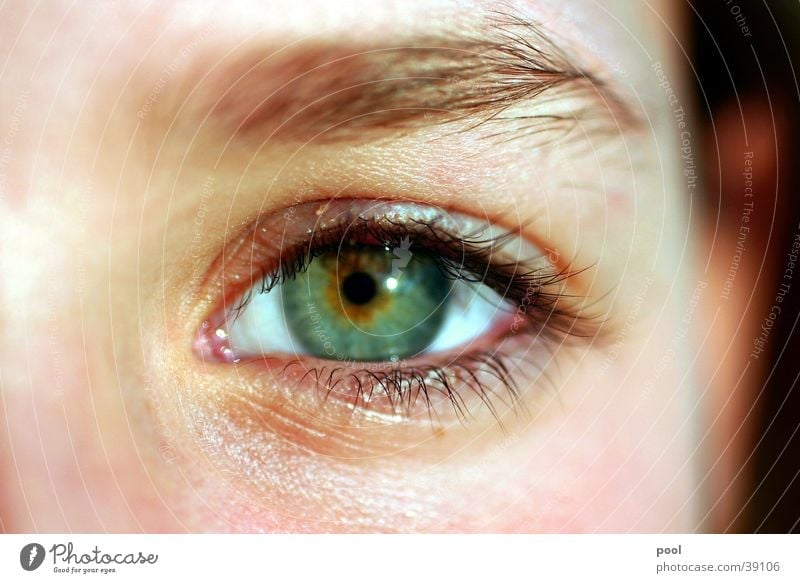 kim Pupil Eyelash Green Eyebrow Make-up Woman Close-up Eyes Looking Iris Facial expression Human being ocular Detail Face