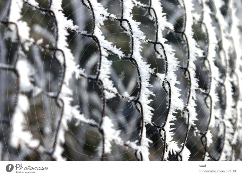 Wire mesh fence in hoarfrost Fence Wire netting fence Hoar frost Winter Cold Pasture fence Loop Snow Ice Crystal structure