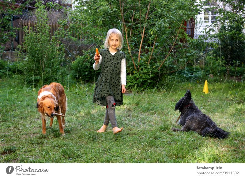 Girl playing with two dogs in the garden Man with dog Watchdog Playing Dog at the same time dog training animal-assisted therapy Pet best friend Attachment