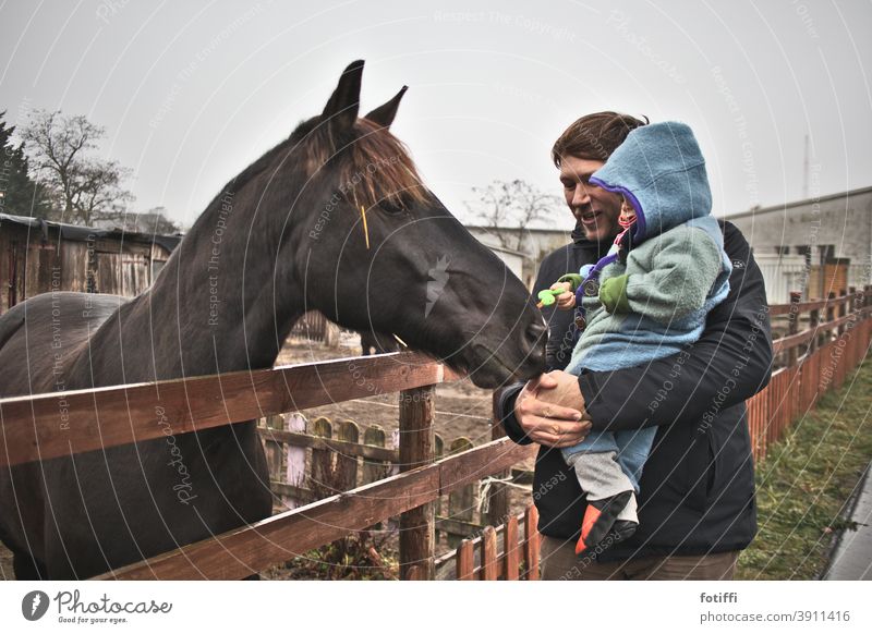 tell me more about the horse Horse Animal Curiosity Trust Exterior shot Father Father and son Child Together Love Son Infancy Parents Happy Safety (feeling of)