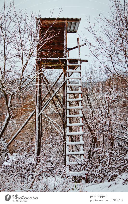raised hide Hunting Blind Hunter Nature Landscape Exterior shot Colour photo Winter Ice Vantage point Wood Forest Tree Field Deserted Ladder Environment Day