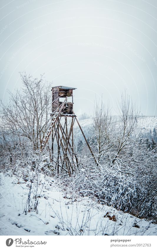 raised hide Hunting Blind Hunter Nature Landscape Exterior shot Colour photo Winter Ice Vantage point Wood Forest Tree Field Deserted Ladder Environment Day