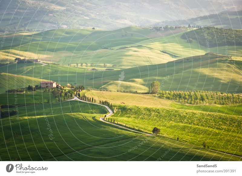 Green Tuscan hills Beautiful Vacation & Travel Tourism Summer House (Residential Structure) Nature Landscape Grass Hill Idyll Europe Italia Italian Italy