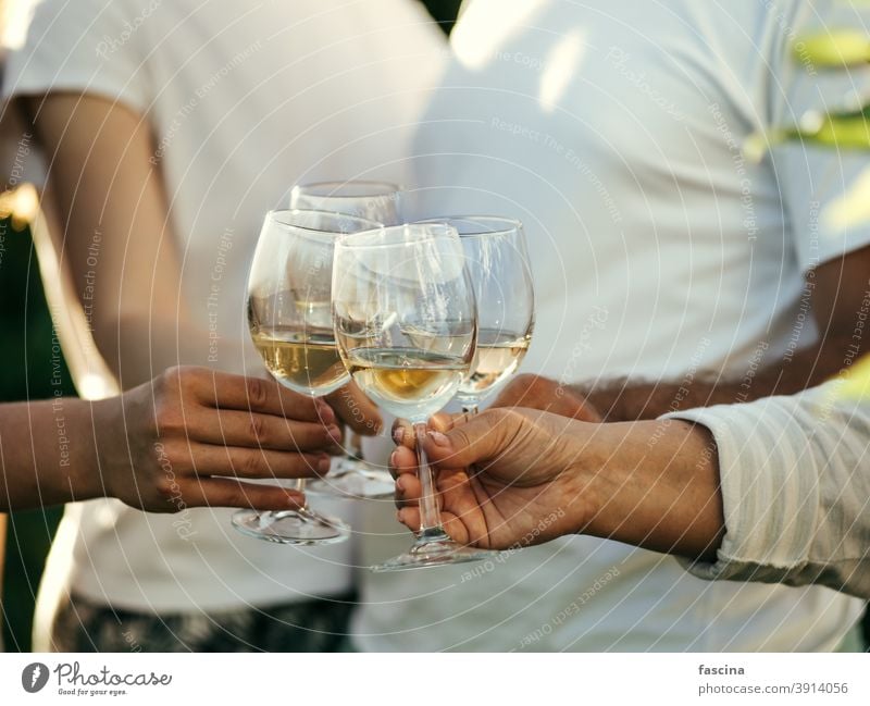 Wine glasses in hands clang glasses chin-chin unrecognizable four people wine glass friends wineglass white drink celebration beverage alcoholic date woman