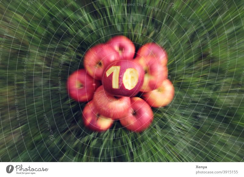 10 years Photocase - Hooray! apples zoom Grass Green Red blurriness ten Autumn Summer Fruit Harvest Mature Food Garden naturally Healthy Delicious Apple Nature