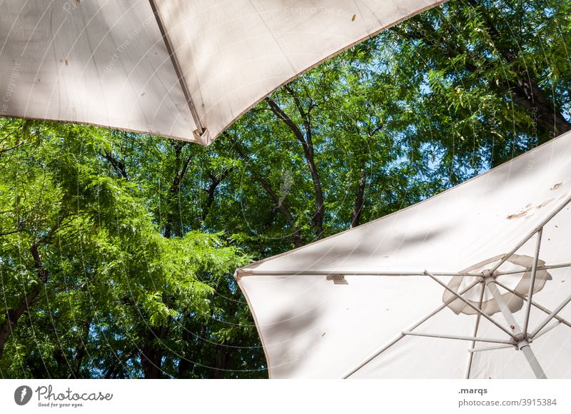 sunshades Sunshade Tree Sky Beautiful weather Summer sun protection Relaxation Vacation & Travel Contentment Joie de vivre (Vitality) Gastronomy Beer garden