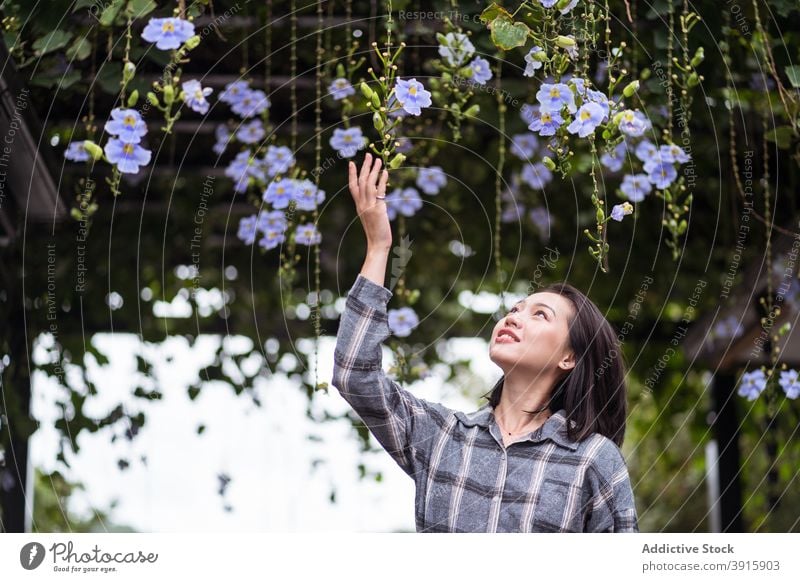 Smiling ethnic woman in botanic garden flower park tender delicate bloom blossom enjoy female asian east coast lush gentle harmony young nature flora plant