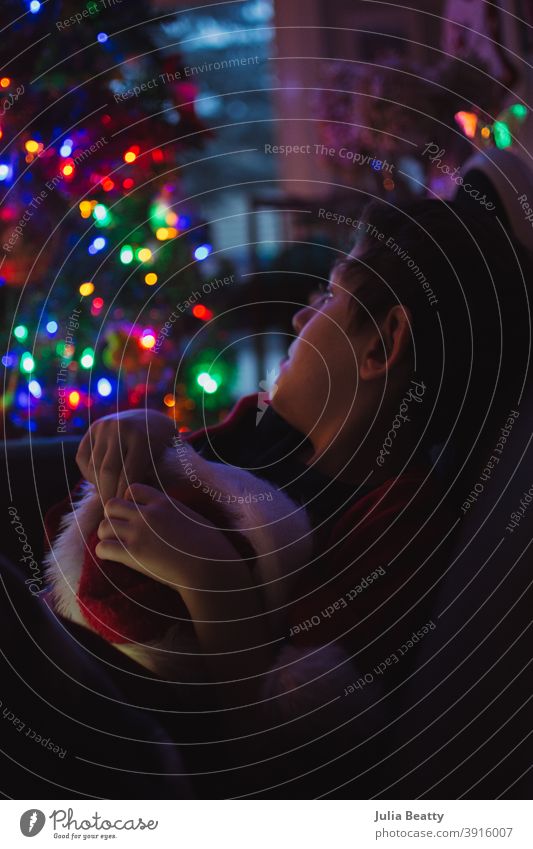 Young boy with Autism enjoying Christmas lights as he holds a fuzzy Santa hat christmas christmas tree ornaments child kid youth special needs autism hands