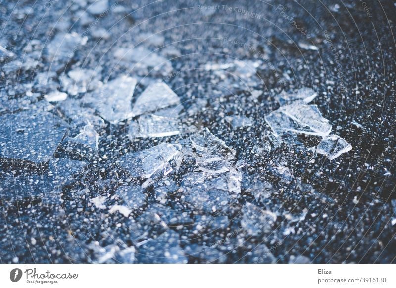 Ice chips on the floor ice slivers Broken Glass Cold Frozen Splinter Winter Blue freezing cold Structures and shapes Frost shards