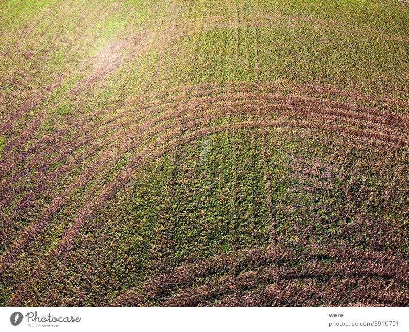 Pattern from tractor tracks on a green field Area flight Background above aerial view bird's eye view copter copy space drone flight landscape nature nobody