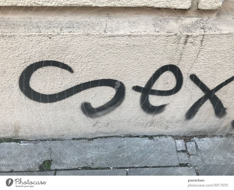 Sex is written as graffiti on a house facade. Word Graffiti Youth culture Daub Wall (building) Letters (alphabet) Wall (barrier) Sexual intercourse Text