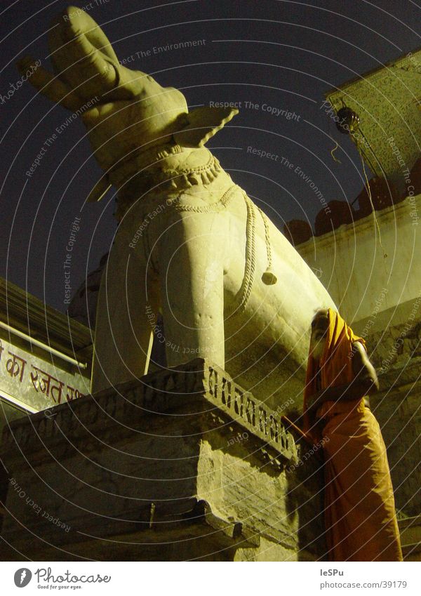 Saddhu Elephant India Hinduism Temple Night Ritual Near and Middle East Vantage point Holy pilgrims uneven
