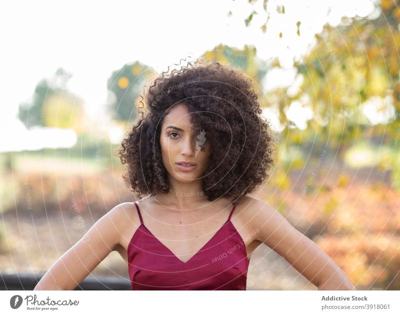 Black female with curly hair looking at camera in park woman afro hairstyle model determine appearance charming serious autumn ethnic black african american