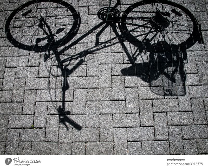 bicycle shadow Bicycle Shadow Street Cycling Transport Exterior shot Means of transport Traffic infrastructure Lanes & trails Road traffic Mobility Driving Town
