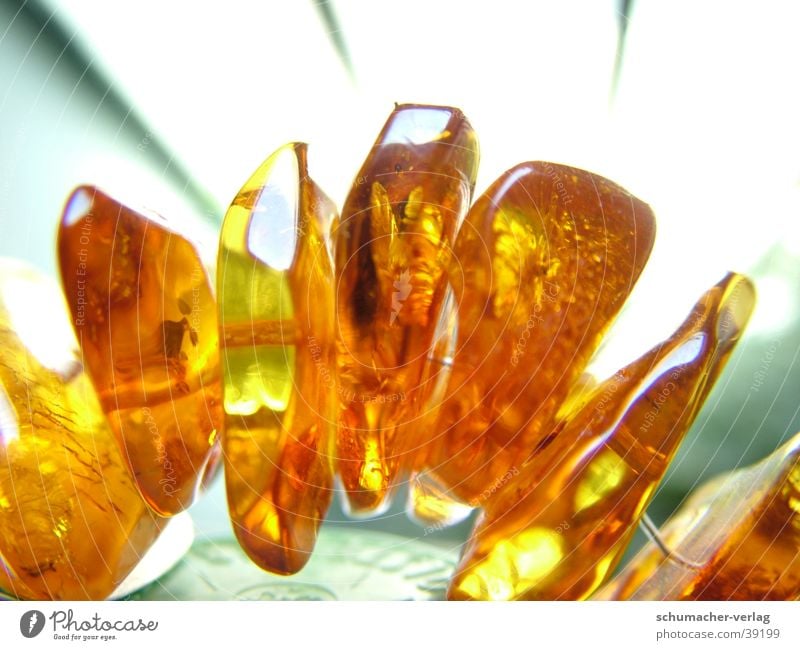 amber Amber Macro (Extreme close-up) Resin Back-light Things semi-precious stone Chain