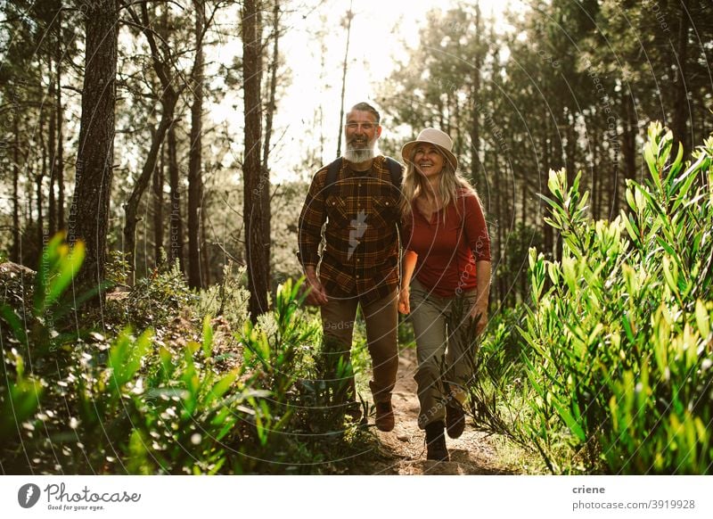 caucasian happy senior couple hiking through forest on sunny day together relationship retirement adventure fun wellbeing walking smiling lifestyle leisure